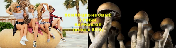 ECSTASY Мегион
