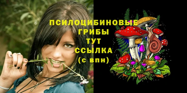 MDMA Медногорск